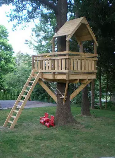 Play Tree house design  and enjoy Tree house design with UptoPlay