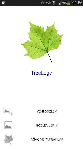 Play TreeLogy