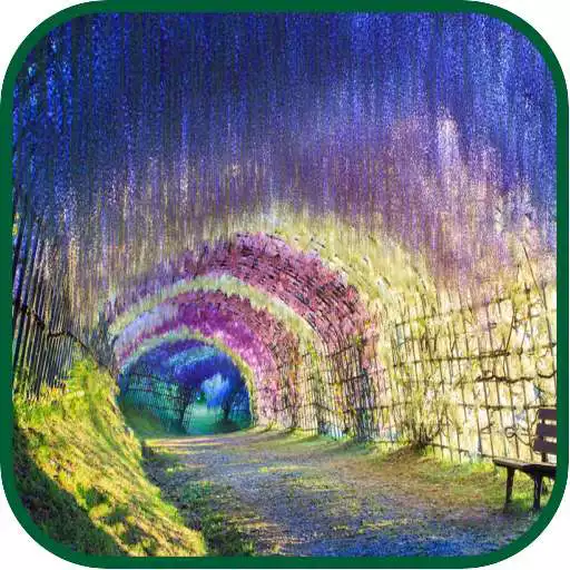 Free play online Tree Tunnel WPs  APK