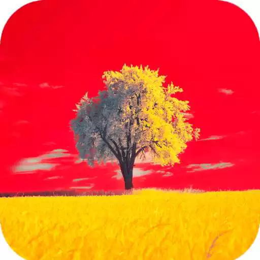 Run free android online Tree Wallpaper HD APK