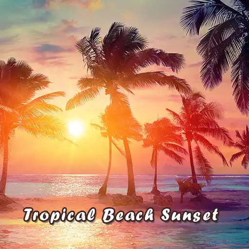 Play Tropical Beach Sunset Theme APK