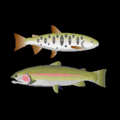 Play Trout lure fishing APK