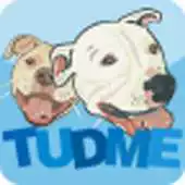 Free play online Tudme APK