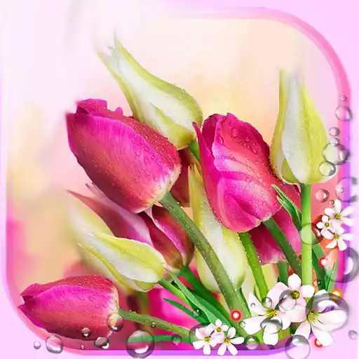 Free play online Tulips Live Wallpaper APK