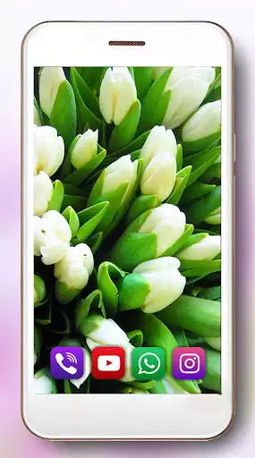 Play Tulips Live Wallpaper