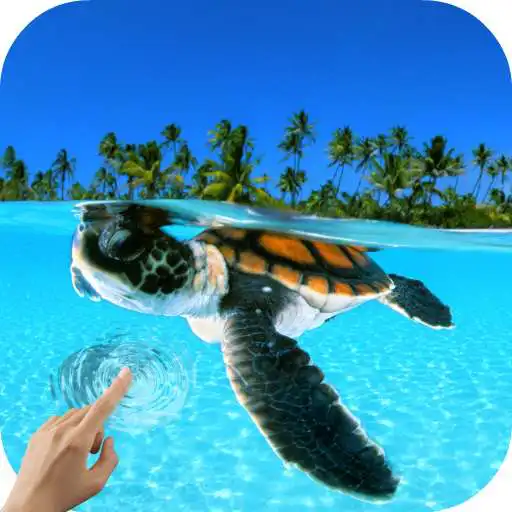 Run free android online Turtle Underwater 3D Wallpaper APK