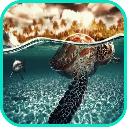 Free play online Turtle Wallpaper APK