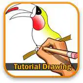 Free play online TutorialDrawing: Toucan Free Drawing  Coloring APK