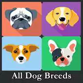 Free play online types of dogs APK