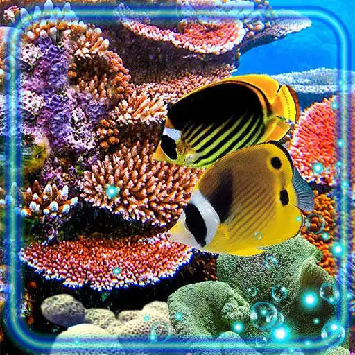 Play Underwater Coral Reef APK