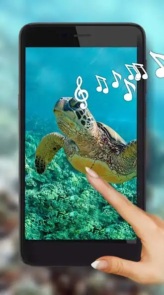 Play Underwater HD Live Wallpaper  and enjoy Underwater HD Live Wallpaper with UptoPlay