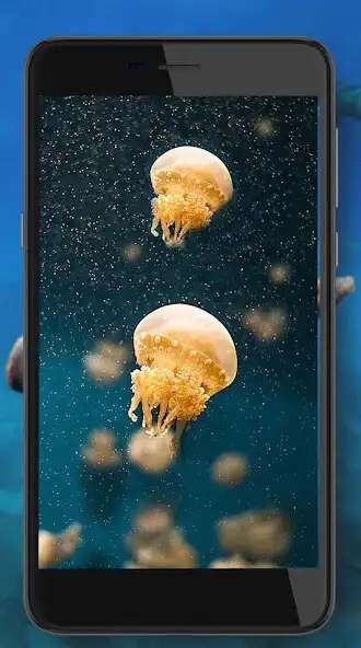 Play Underwater HD Live Wallpaper as an online game Underwater HD Live Wallpaper with UptoPlay