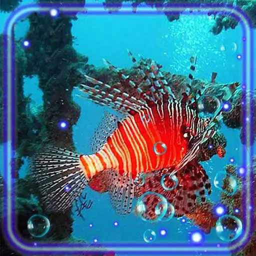 Play Underwater Inhabitants APK