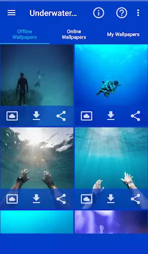 Play Underwater Wallpapers as an online game Underwater Wallpapers with UptoPlay