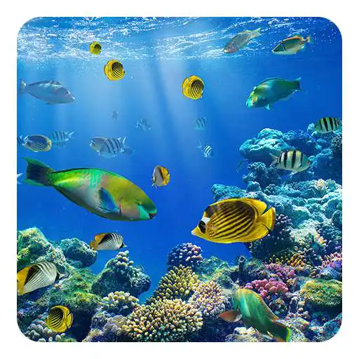 Run free android online Underwater World LWP APK