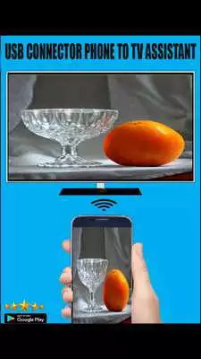Play usb connector phone to tv assistant US