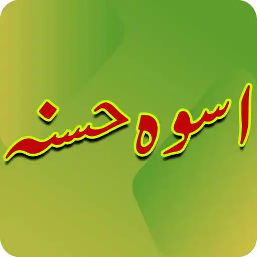 Play Uswa E Husna offline read free book APK