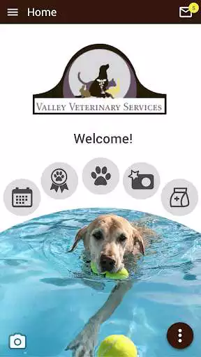 Play Valley Veterinary Services  and enjoy Valley Veterinary Services with UptoPlay