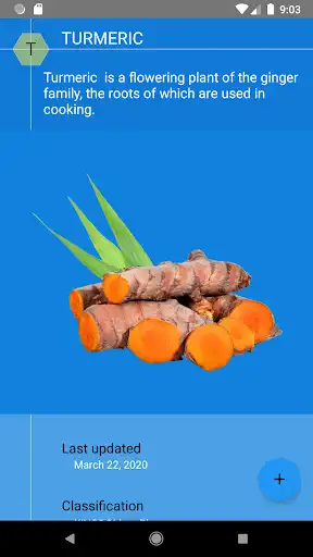 Play Vegetables Atlas as an online game Vegetables Atlas with UptoPlay