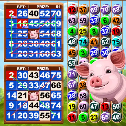 Play Video Bingo Little Farm 2 APK