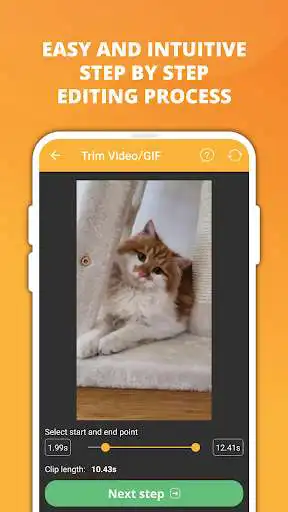 Play Video  GIF Memes as an online game Video  GIF Memes with UptoPlay