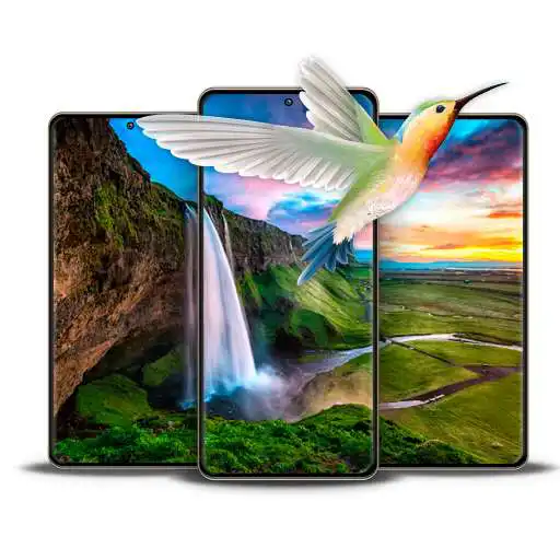 Play Video Live Wallpapers Backgrounds APK