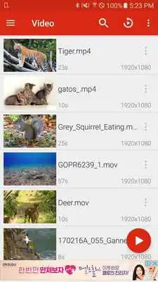 Play Video Player Fire - Codec, Subtitle