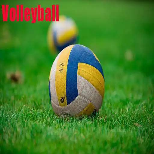 Play Volleyball Photos  and enjoy Volleyball Photos with UptoPlay