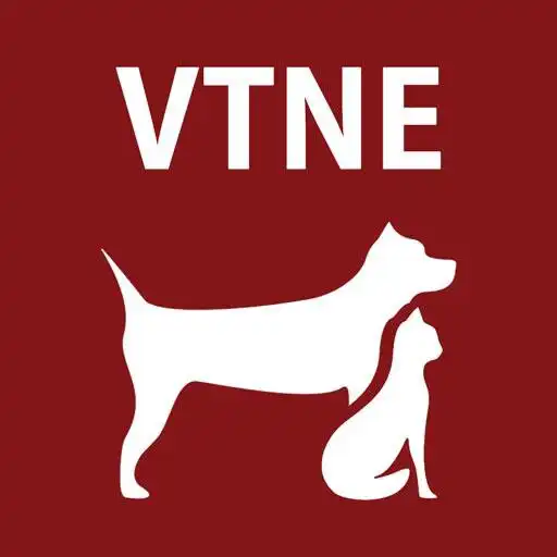 Play VTNE Practice Test Prep 2020 - Flashcards APK