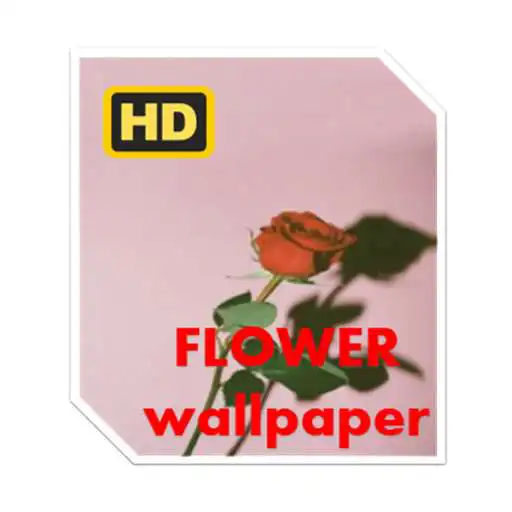 Play WALLPAPER FLOWERS APK