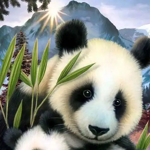 Play Wallpaper Panda Lucu APK