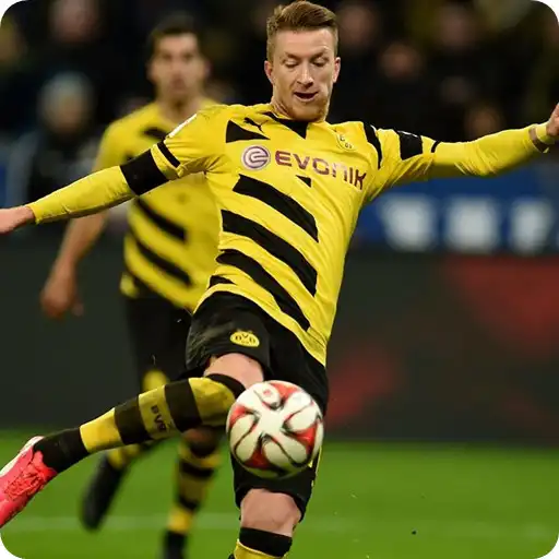 Play Wallpapers for Borussia Dortmund APK