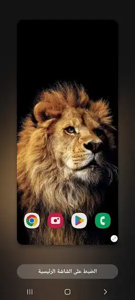 Play Wallpapers Lion (3) 4K 2023  and enjoy Wallpapers Lion (3) 4K 2023 with UptoPlay