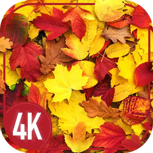 Play Wallpapers with Leaves APK