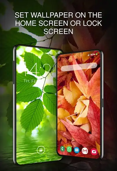 Play Wallpapers with Leaves  and enjoy Wallpapers with Leaves with UptoPlay