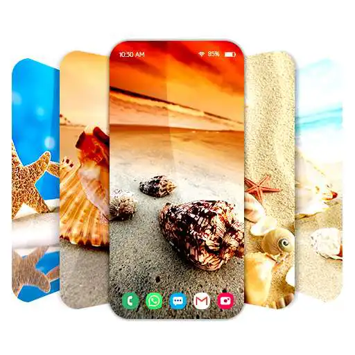 Play Wallpapers with shells APK