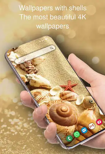 Play Wallpapers with shells  and enjoy Wallpapers with shells with UptoPlay