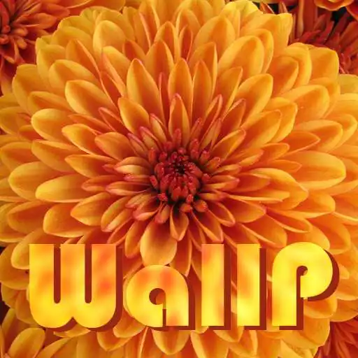 Play WallP - Flowers HD Wallpapers APK