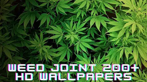 Play Weed Joint Wallpapers HD : 200+ Quailty Pictures  and enjoy Weed Joint Wallpapers HD : 200+ Quailty Pictures with UptoPlay