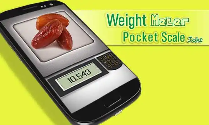 Play Weight Meter Pocket Scale Joke