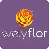 Free play online Welyflor WebApp APK