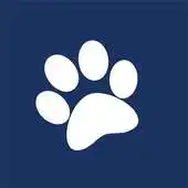 Free play online Westminster Veterinary Group APK