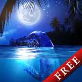 Free play online Whale Moon Trial APK