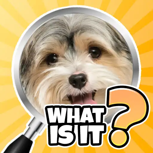 Play What is it? Pics Trivia Quiz APK