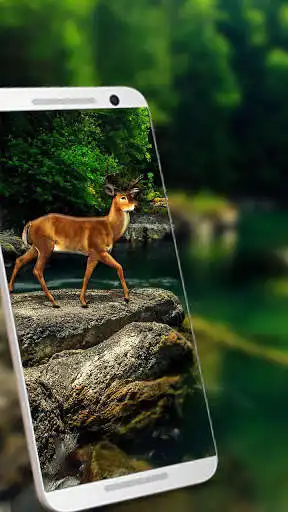 Play APK White Deer 3D Live wallpaper  and enjoy White Deer 3D Live wallpaper with UptoPlay live.wallpaper.t910001476