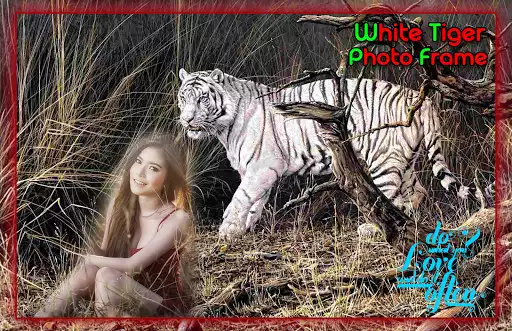 Play White Tiger Photo Frames  and enjoy White Tiger Photo Frames with UptoPlay