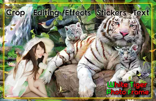 Play White Tiger Photo Frames as an online game White Tiger Photo Frames with UptoPlay