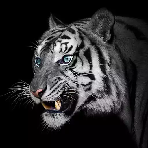 Play White Tiger Wallpapers APK