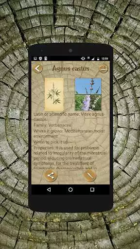 Play Wicca Herbarium as an online game Wicca Herbarium with UptoPlay