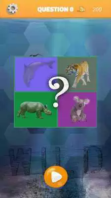 Play Wild Animals Quiz